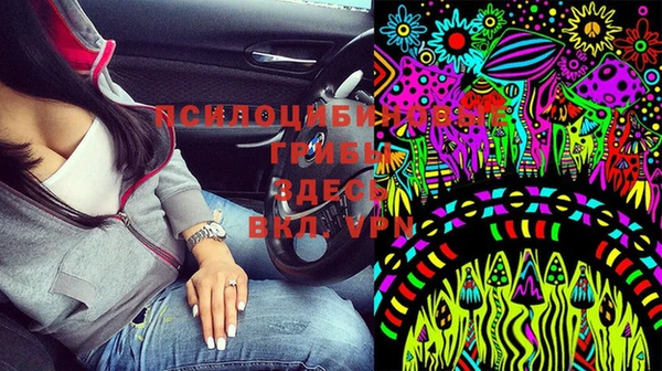 бошки Дмитровск