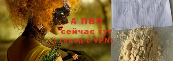 прущие грибы Гусев