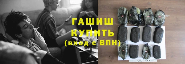 прущие грибы Гусев
