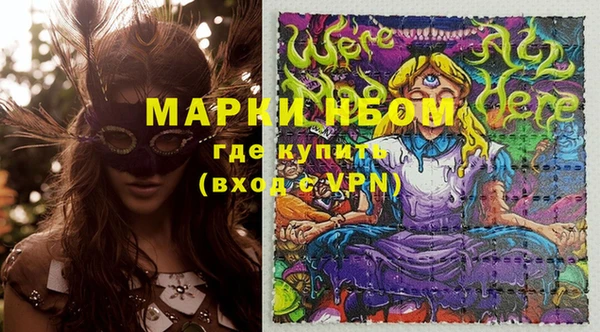 прущие грибы Гусев