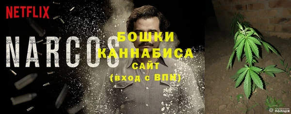 прущие грибы Гусев