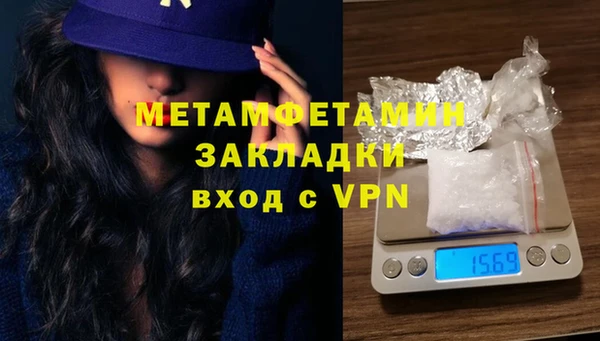 прущие грибы Гусев